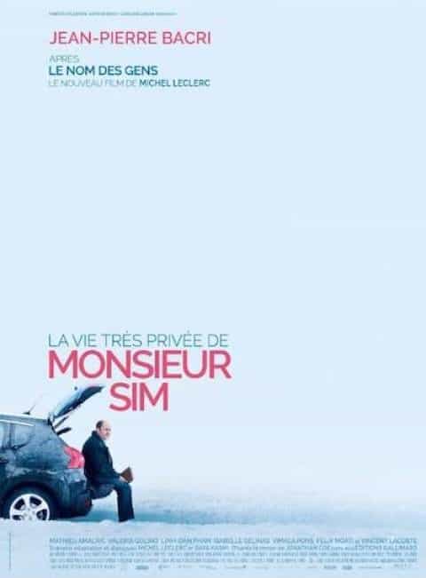 The Very Private Life of Mister Sim